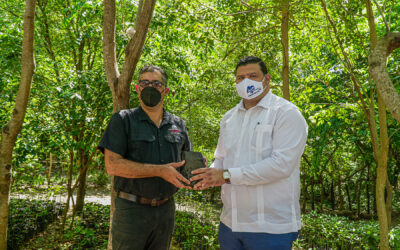 Fundación Refidomsa y Medio Ambiente restauran viveros de mangles en Parque Ecológico de Nigua